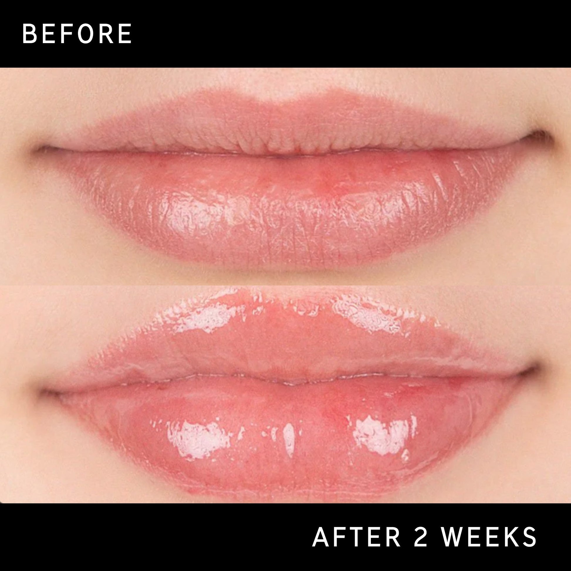 tripeptide-plumping-lip-balm-k9 DTC-Top15_Amends_Tripeptide-Lip_B_A.jpg